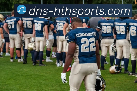 hth体育平台生态图